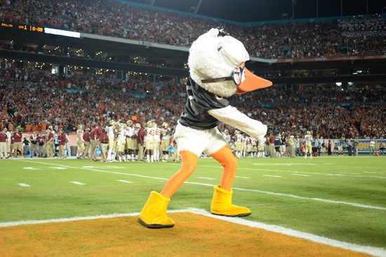 Sebastian the Ibis entertains the University of Miami Hurricane fans during a game against the Florida State Seminoles at Sun Life Stadium on November...