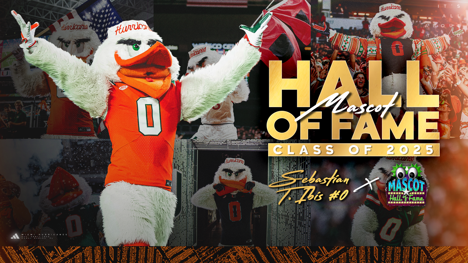 Sebastian the Ibis Inducted into Mascot Hall of Fame Sebastian the Ibis Inducted into Mascot Hall of Fame