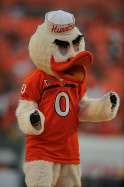 Sebastian the Ibis entertains fans in a game against the Bethune Cookman Wildcats at Sun Life Stadium on October 1, 2011.  Photo by Steven Murphy