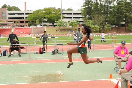 Elyse Houston at 2013 ACC Outdoor Championships