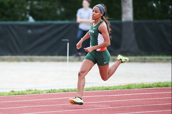 2014 Hurricane Invitational