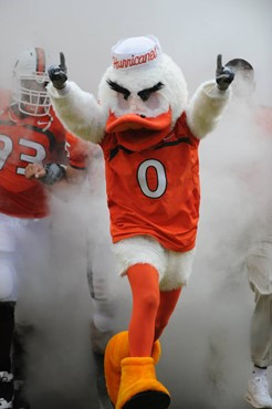 University of Miami mascot Sebastian the Ibis leads the team on the field in a game against the University of Central Florida Knights at Dolphin...