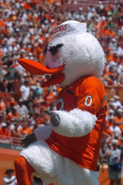 University of Miami Mascot Sebastian the Ibis mascot Sebastian the Ibis cheers on the crowd to show their support for the Hurricanes during a game...