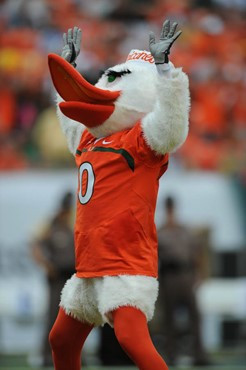 University of Miami mascot Sebastian the Ibis leads fans to chant &acirc;?oeC-A-N-E-S&acirc;?? in a game against the University of Central Florida...