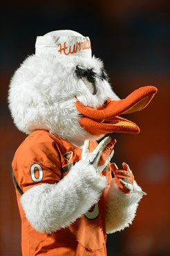 Sebastian the Ibis entertains the University of Miami Hurricane fans during a game against the Savannah State Tigers at Sun Life Stadium on September...