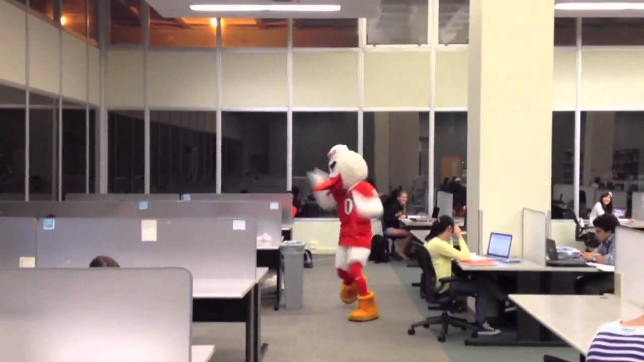 Week 1 Capital One Results: Sebastian the Ibis