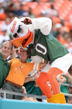 Sebastian the Ibis entertains the University of Miami Hurricane fans during a game against the Arkansas State Red Wolves at Sun Life Stadium on...