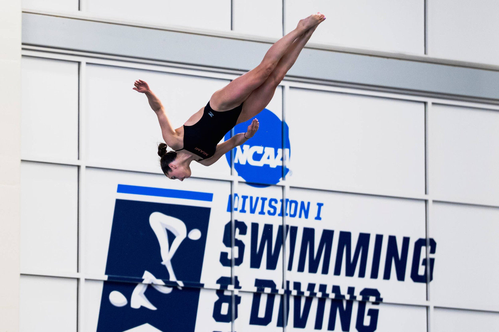 Pellacani Earns All-America Honors on 3-Meter