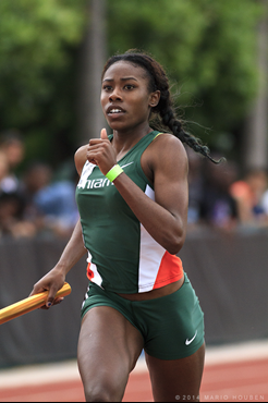 2014 Hurricane Invitational