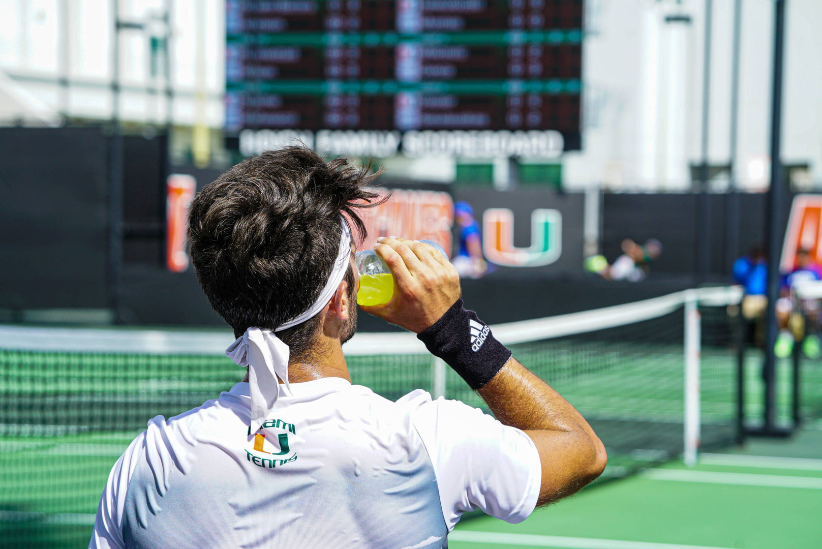 Miami Falls to FGCU