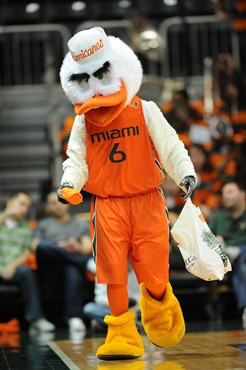 Sebastian the Ibis entertains fans as The University of Miami Hurricanes play host to the Virginia Cavaliers at the BankUnited Center on February 5,...