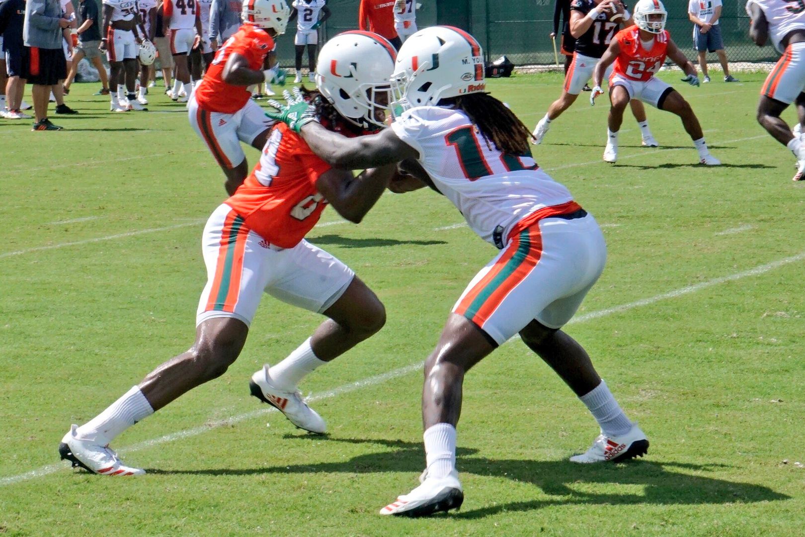 Wide Receivers ‘Wowing’ on Greentree