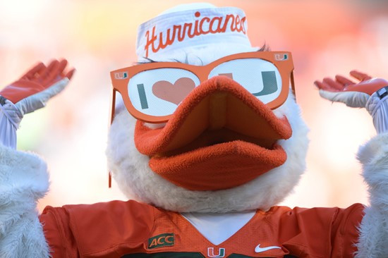 Sebastian the Ibis entertains the University of Miami Hurricane fans during a game against the Virginia Cavaliers at Sun Life Stadium on November 23,...