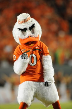 Sebastian the Ibis cheering on fans at Sun Life Stadium on September 17, 2011. Photo by Steven Murphy