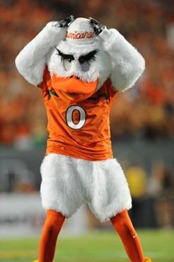 Sebastian the Ibis cheering on fans at Sun Life Stadium on September 17, 2011. Photo by Steven Murphy