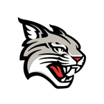 Davidson Logo