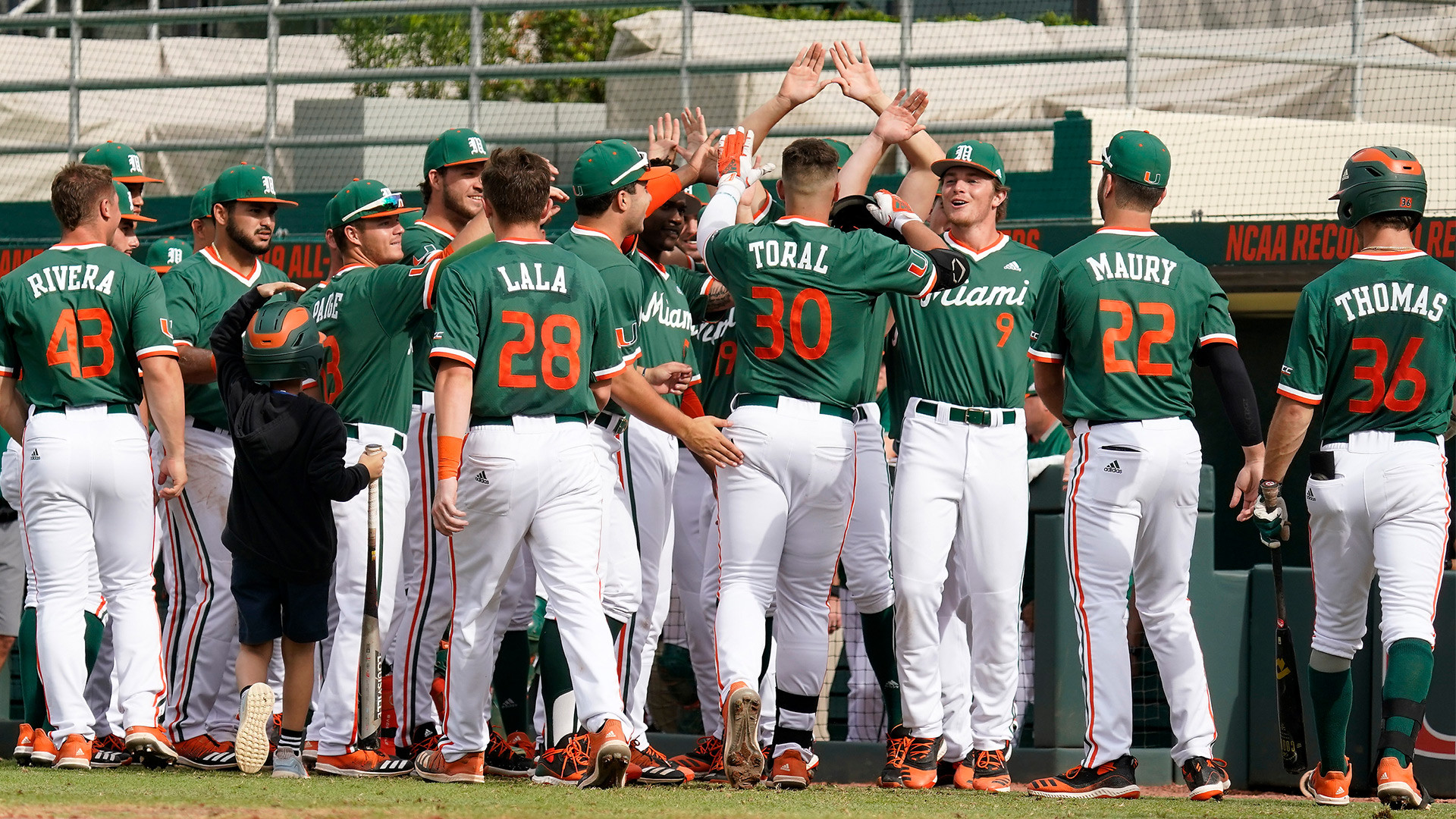 Canes Baseball Climbs Up Three Polls