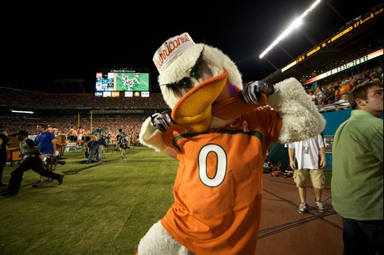 Sebastian the Ibis at the University of Miami Hurricanes against the Florida State Seminoles at Sun Life Stadium on October 9, 2010. Photo by Steven...