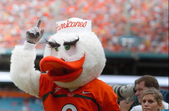 University of Miami Hurricanes Sebastian the Ibis in a game against The Florida State Seminoles at Dolphin Stadium on October 4, 2008.    Photo by...