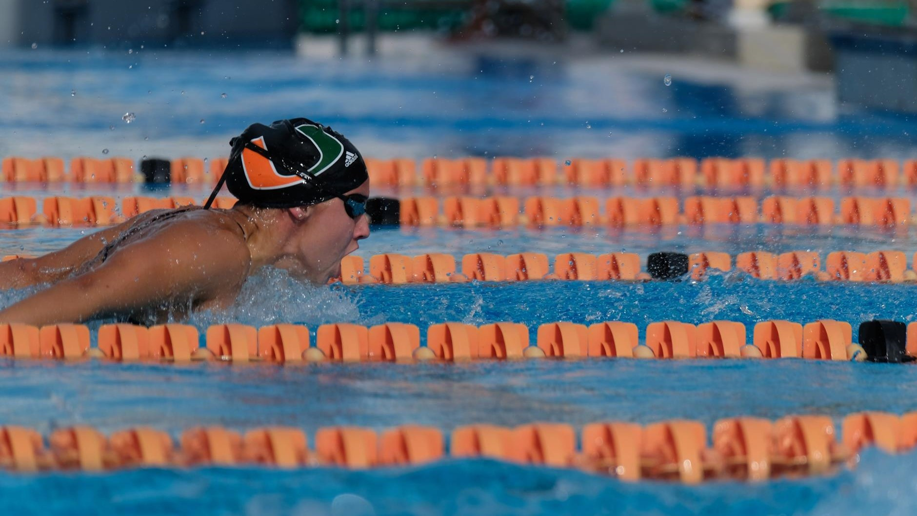 Swimming Set for Bruno Invite in Providence