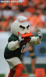 UM Athletics Enters One Year Relationship with Tobacco Free Florida