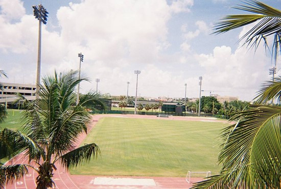Greentree Practice Fields