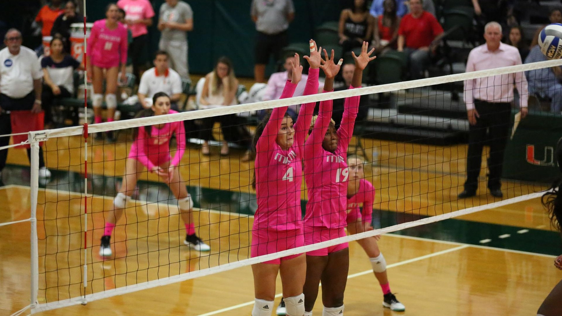 Volleyball Tames the Wolfpack, 3-0