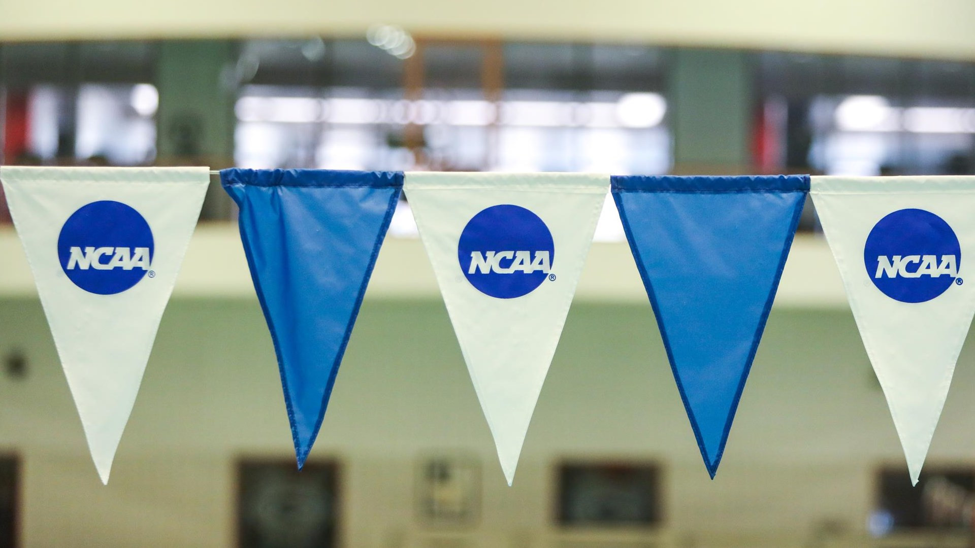 Men's Divers Dominate on Final Day of NCAA Zones