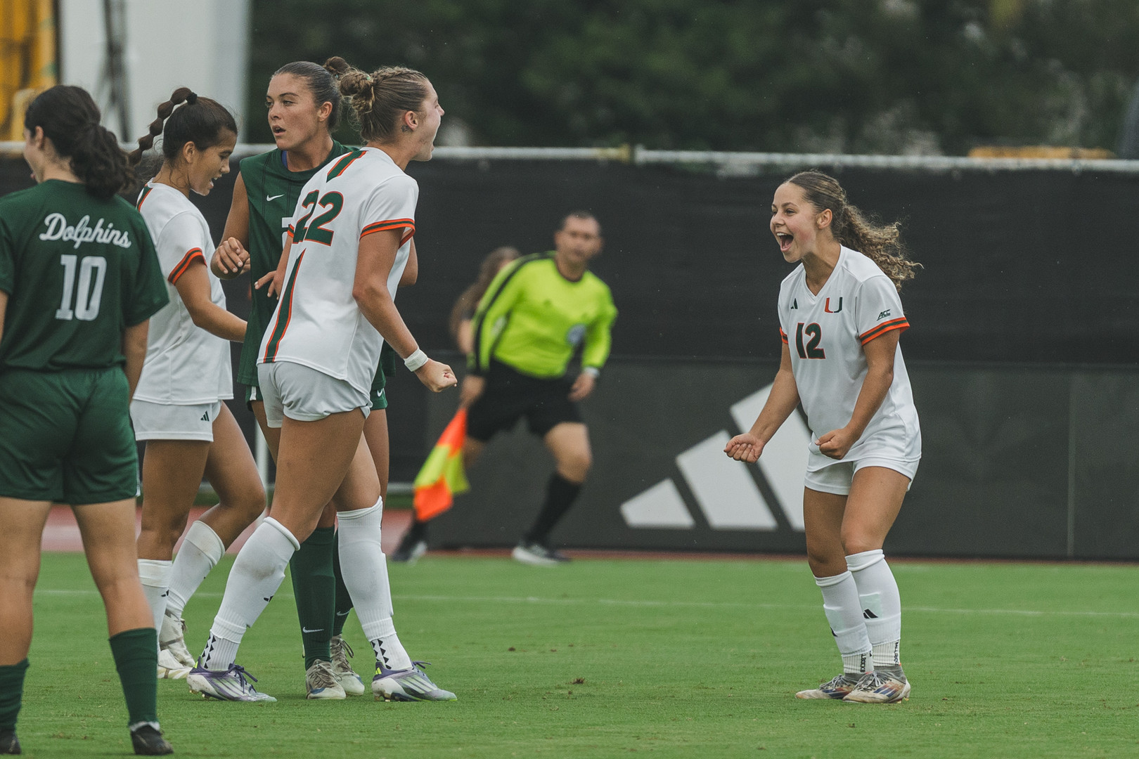 Hurricanes Blank Dolphins, 1-0