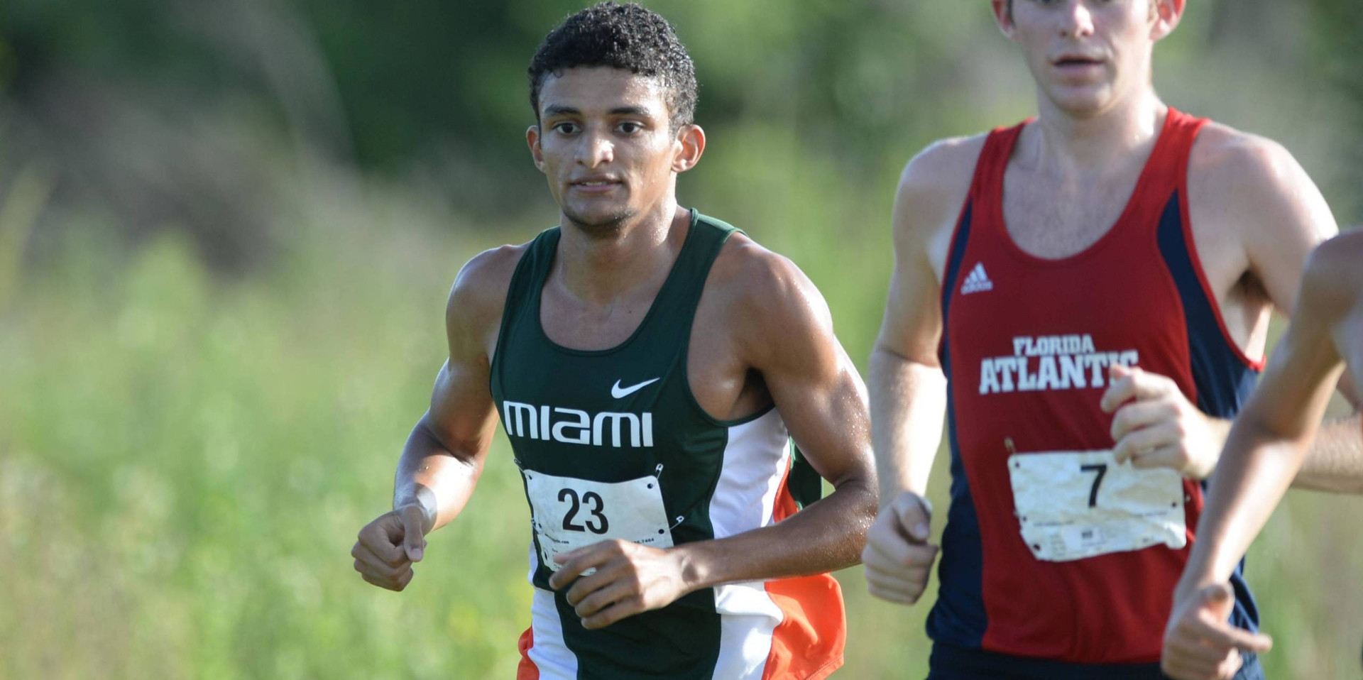 Dourado Leads Cross Country at UF