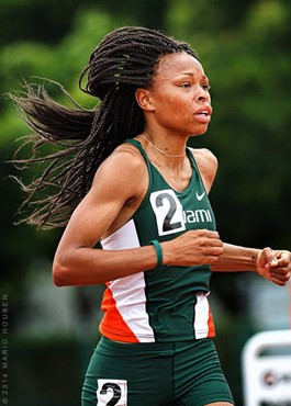 2014 Miami Invitational