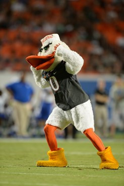 Sebastian the Ibis entertains the University of Miami Hurricane fans during a game against the Duke Blue Devils at Sun Life Stadium on September 27,...