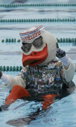 Miami Swimming and Diving 2004-05 Season Outlook