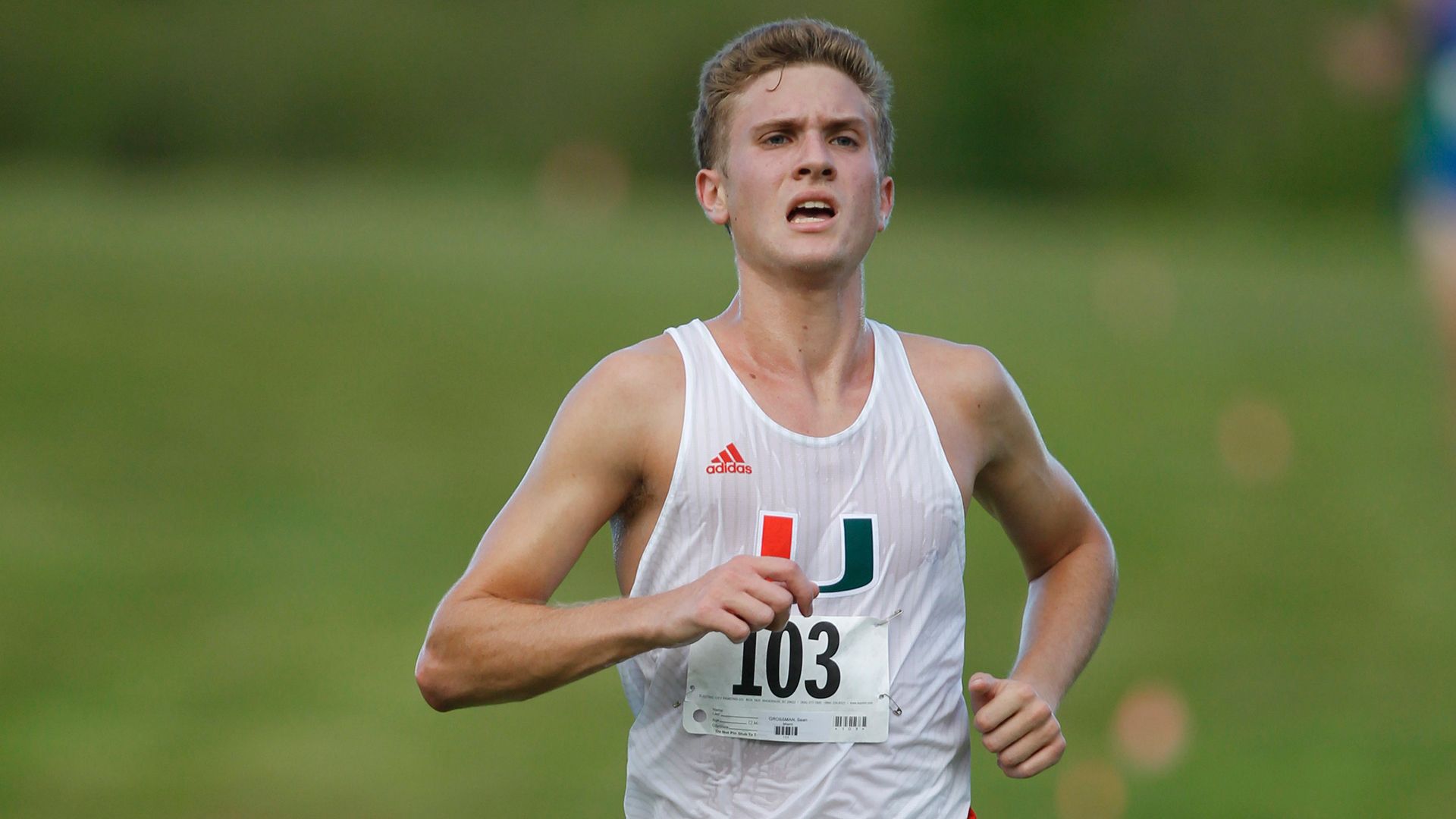 Men's Cross Country Up to No. 14 in Region