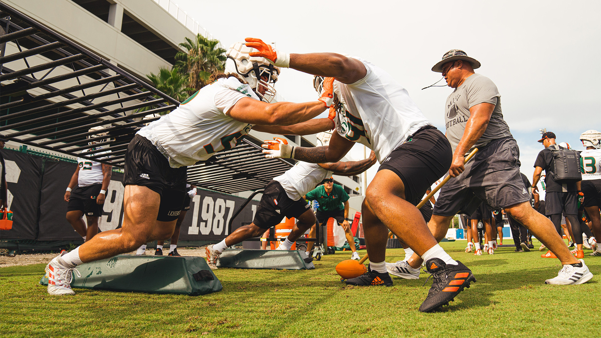 Canes Return to Greentree