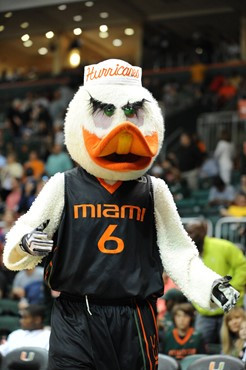 Sebastian the Ibis and Fans cheer for The University of Miami Hurricanes as they play host to 2010 NCAA Final Four participant West Virginia at the...