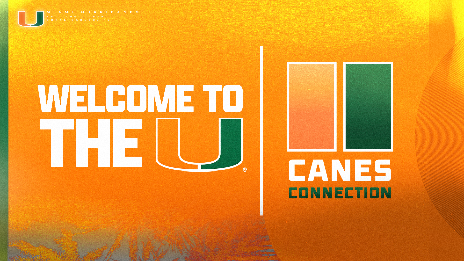 Canes Connection Named Official NIL Collective of University of Miami Athletics