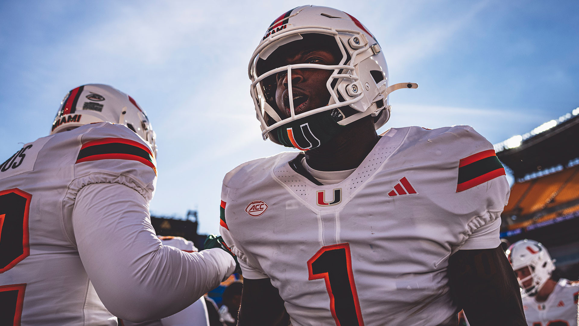 ''This is the Reason I Came Here''