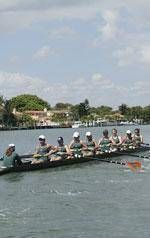 Novice Squad Turns in Solid Results against MIT and Florida Tech