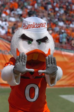 University of Miami mascot Sebastian the Ibis entertains the crowd during a game against the North Carolina State Wolfpack at the Orange Bowl on...