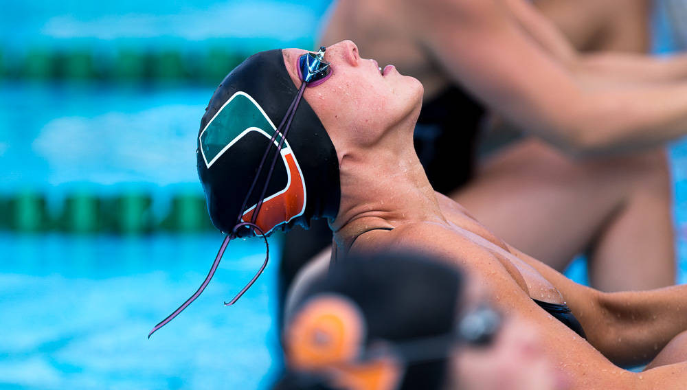 Swim / Dive Falls to FGCU in Fort Myers