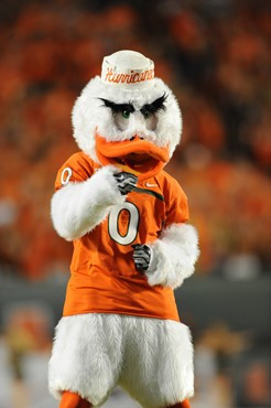 Sebastian the Ibis cheering on fans at Sun Life Stadium on September 17, 2011. Photo by Steven Murphy