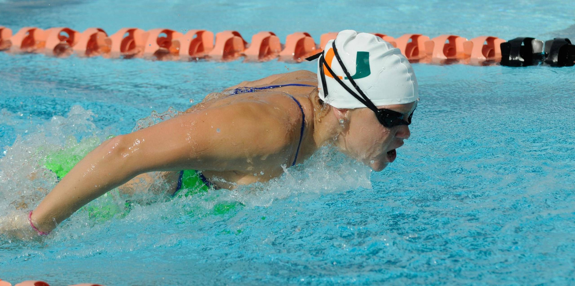 S&D Impresses in Dual Meet with Florida State