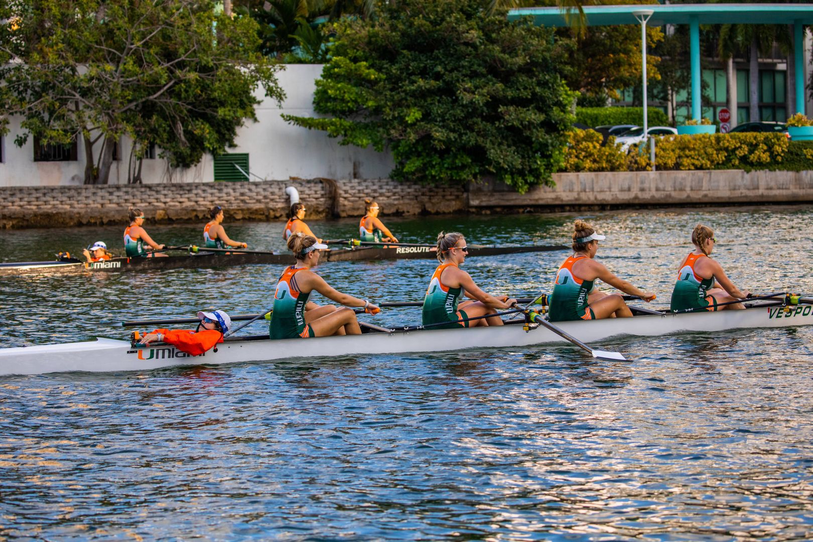 Rowing Seniors Back For More