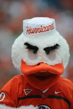 University of Miami mascot Sebastian the Ibis leads fans to chant &acirc;?oeC-A-N-E-S&acirc;?? in a game against the University of Central Florida...