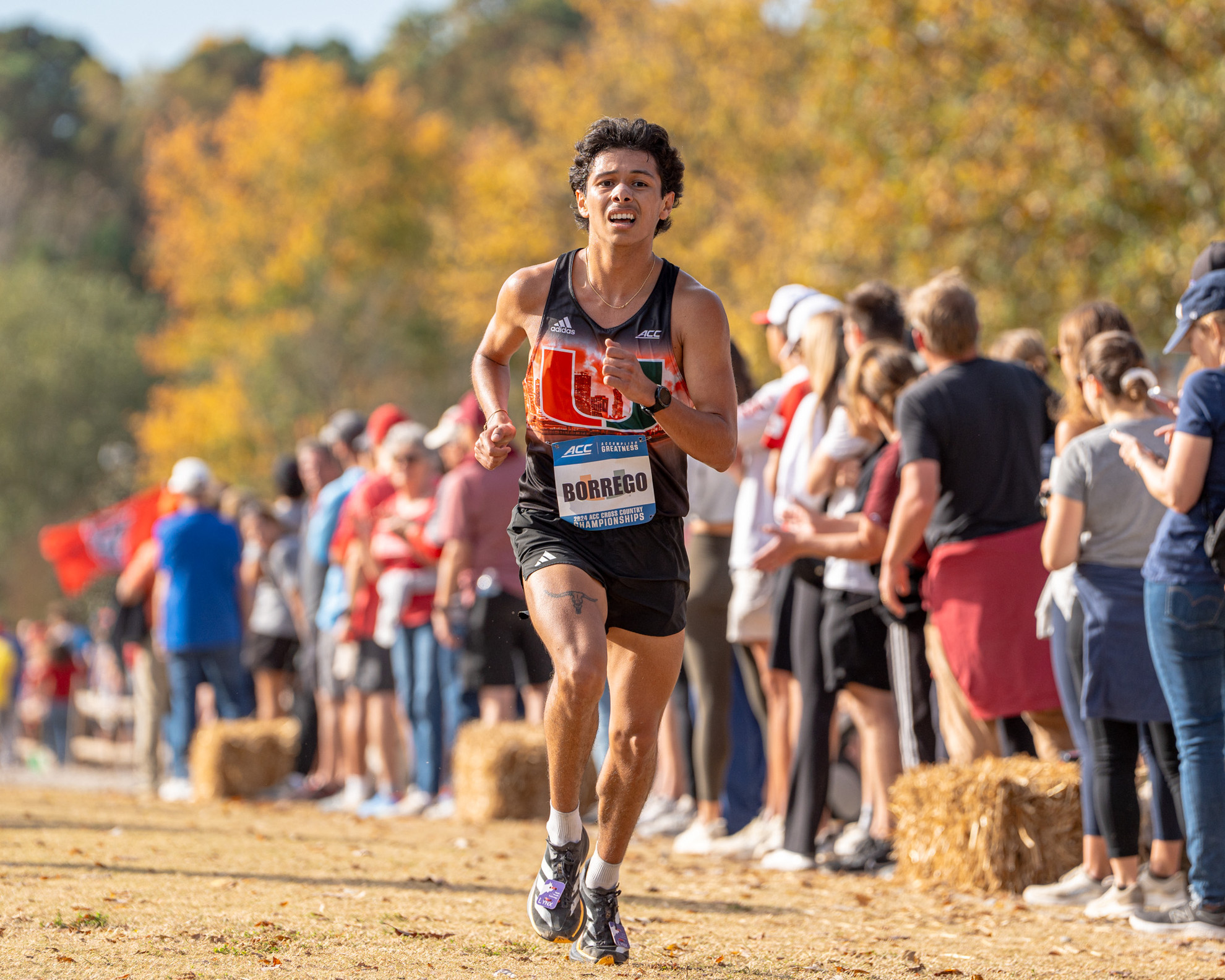 Enrique Cross Country 2026-27