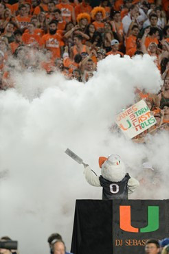 Sebastian the Ibis entertains the University of Miami Hurricane fans during a game against the Florida State Seminoles at Sun Life Stadium on November...