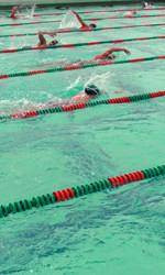 Miami Swimming and Diving Set to Take on Rice