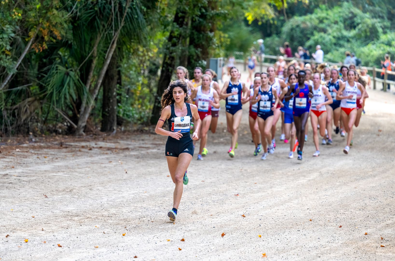 Lavassas Leads Hurricanes at Conference Championships