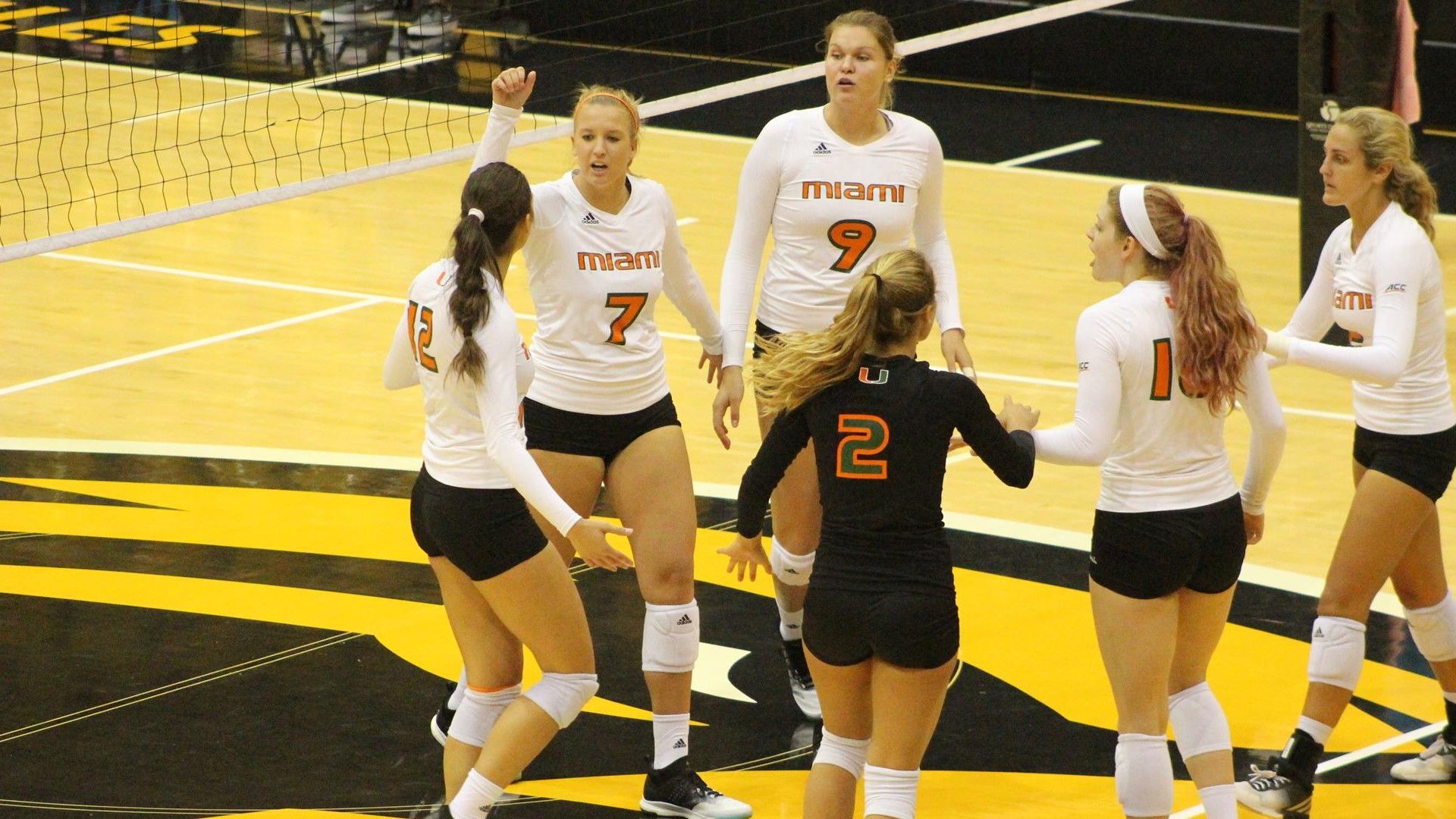 Volleyball Returns with ACC Opening Weekend